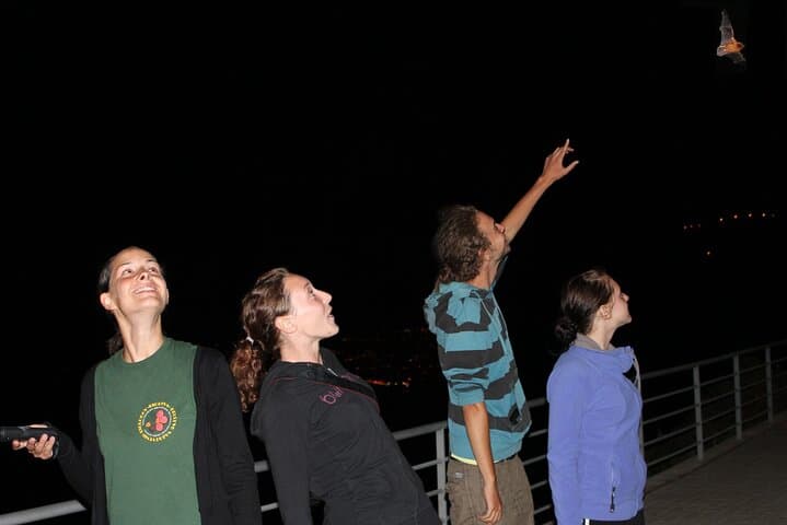 Madeira Bat Watching: Night Bat-Detector Tour from Funchal