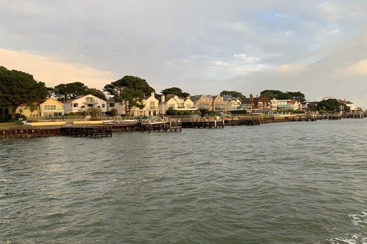 Poole Harbour & Islands Circular Cruise: Brownsea, Sandbanks and Wildlife Views photo 6