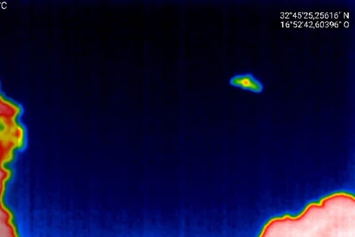 Madeira Bat Watching: Night Bat-Detector Tour from Funchal photo 4