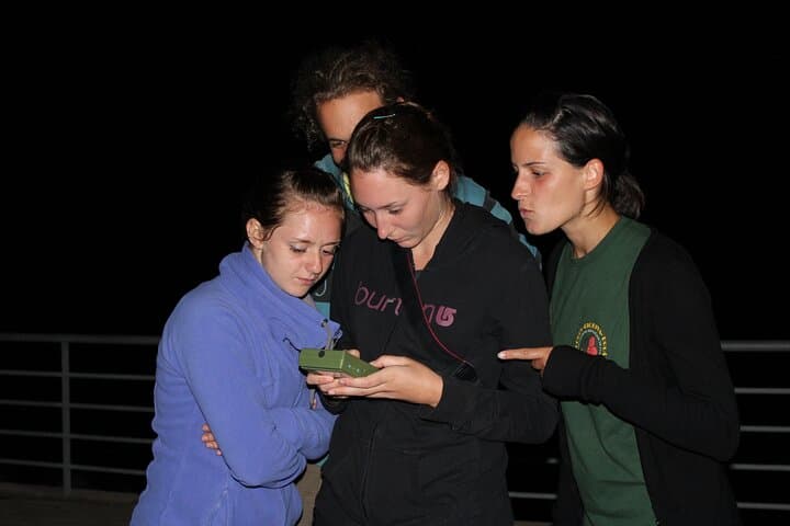 Madeira Bat Watching: Night Bat-Detector Tour from Funchal photo 5
