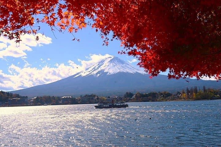 Mt Fuji Private Day Trip from Tokyo: Top Photo Spots, Lake Kawaguchi & Chureito Pagoda photo 4