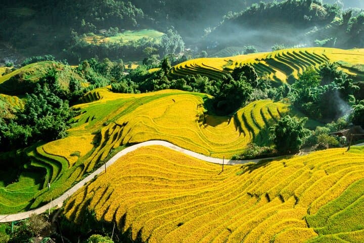 Sapa 2-Day Homestay Trek: Rice Terraces & Ethnic Villages from Sapa Town photo 3