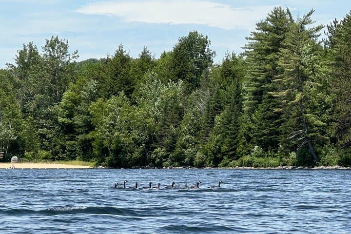 Lake Tarleton Self-Guided Paddle: Scenic 5‑Hour Paddle with White Mountain Views photo 6