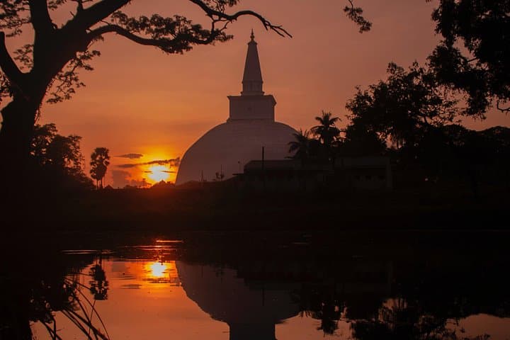 Sri Lanka Natural Explorer: 14-Day All-Inclusive Nature & Culture Tour photo 3