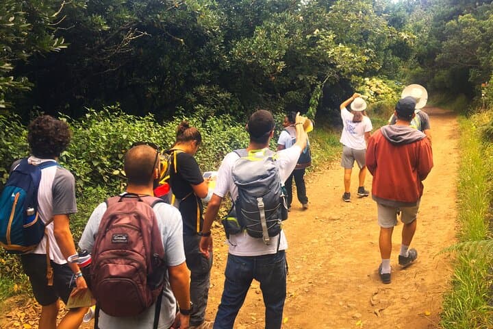 Madeira Butterfly-Watching Tour — Endemic Species & Conservation near Funchal photo 3