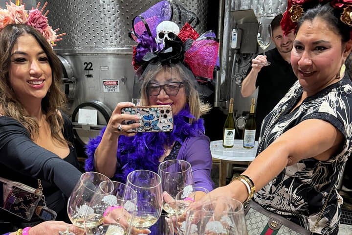 Private Mercedes SUV Wine Tour from San Antonio to Fredericksburg photo 4