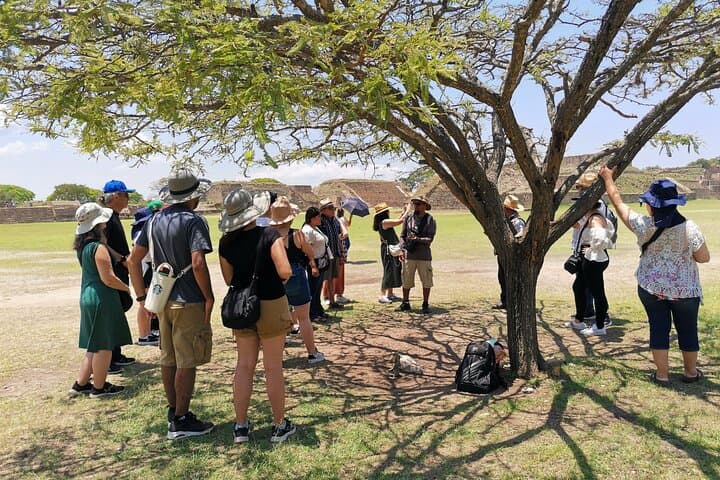 Full-Day Monte Albán & Oaxacan Crafts Tour from Oaxaca City photo 6