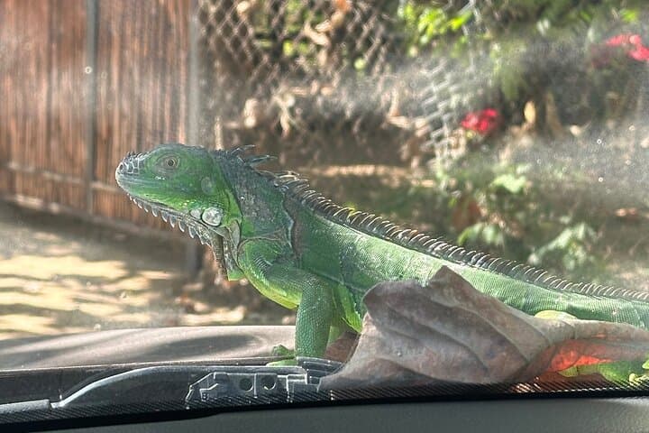 Private Day Trip to Mazunte and Zipolite from Puerto Escondido photo 3
