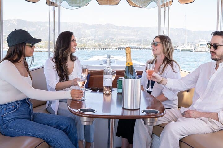 Private Electric Harbor Cruise in Santa Barbara on Whisper