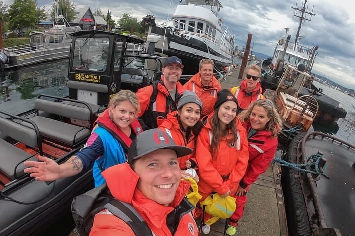 Campbell River 4-Hour Whale & Wildlife Zodiac Cruise in the Salish Sea photo 4