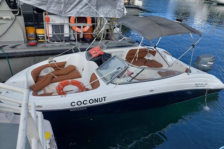 Private El Cielo Snorkel: Cozumel's Starfish Sands & Iconic Reef