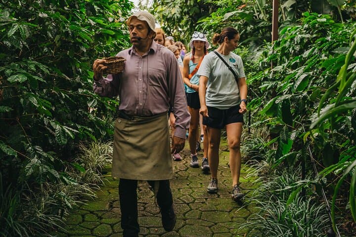 Britt Classic Coffee Tour — Inside Heredia's Original Coffee Experience photo 4