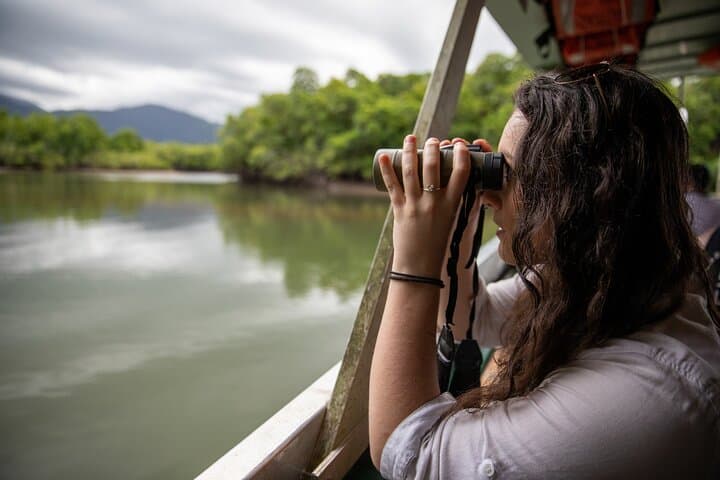 Half-Day Daintree Rainforest and Mossman Gorge Tour from Port Douglas photo 2