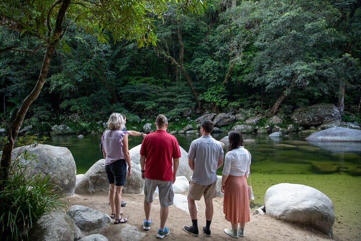 Half-Day Daintree Rainforest and Mossman Gorge Tour from Port Douglas
