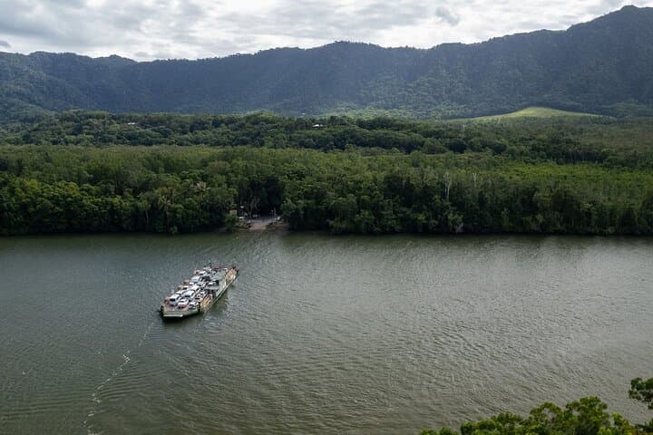 Half-Day Daintree Rainforest and Mossman Gorge Tour from Port Douglas photo 4