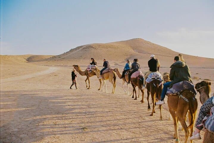 Agafay Desert Camel Ride, Sunset Dinner & Amazigh Music from Marrakech photo 2