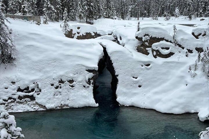 Calgary to Lake Louise, Moraine Lake, Emerald Lake & Johnston Canyon Day Tour photo 4
