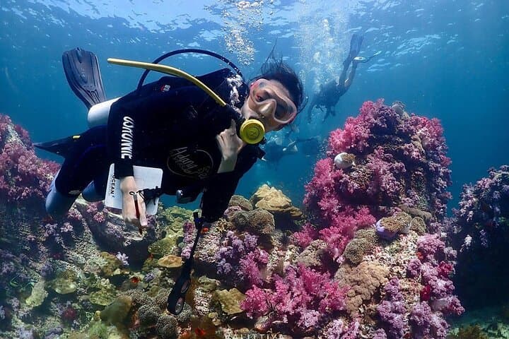 Koh Lipe Beginner Scuba Diving Half-Day — Try Scuba in Tarutao Marine Park photo 3