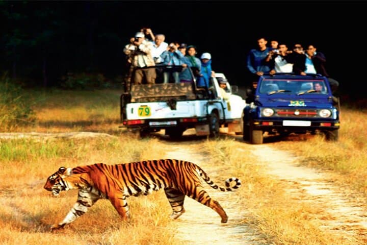 2-Day Jim Corbett Jungle Safari from Hyderabad — Flight, Resort & Jeep Safari