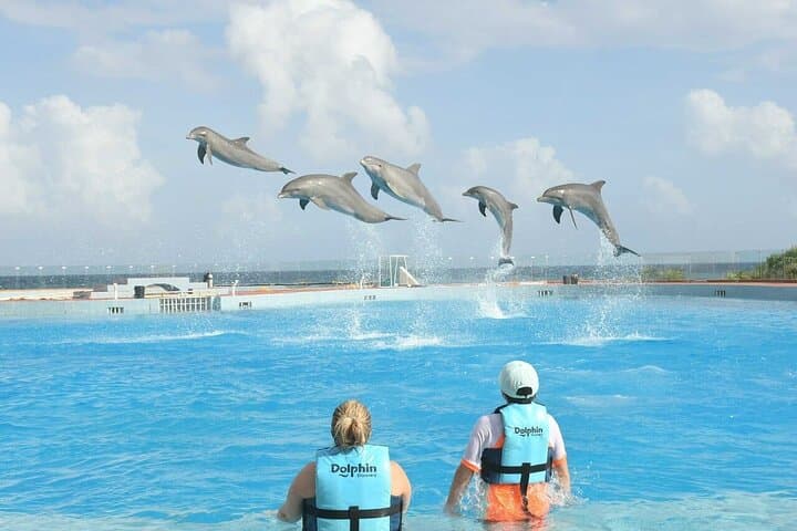 Tulum & Dolphin Connection from Cancun — Ruins Tour and Dolphin Swim photo 2
