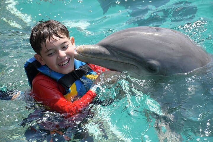 Tulum & Dolphin Connection from Cancun — Ruins Tour and Dolphin Swim photo 6