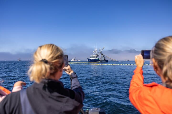 Sitka 2-Hour Private Marine Wildlife Tour — Whale Watching in Sitka Sound photo 2
