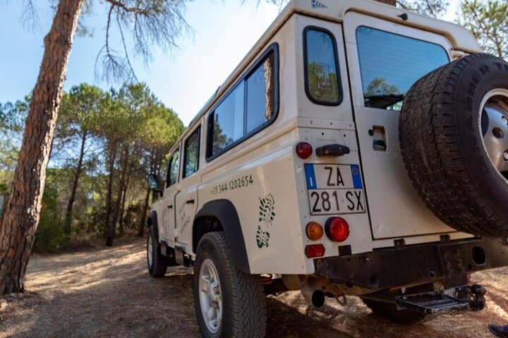 Private Jeep Tour to Biderosa Oasis and Capo Comino — Sardinia 4x4 Beach & Dune Adventure photo 2