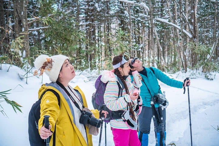 Snowshoe to Noboribetsu Ice Caves: 8km Winter Trek to Three-Meter Stalactites photo 3