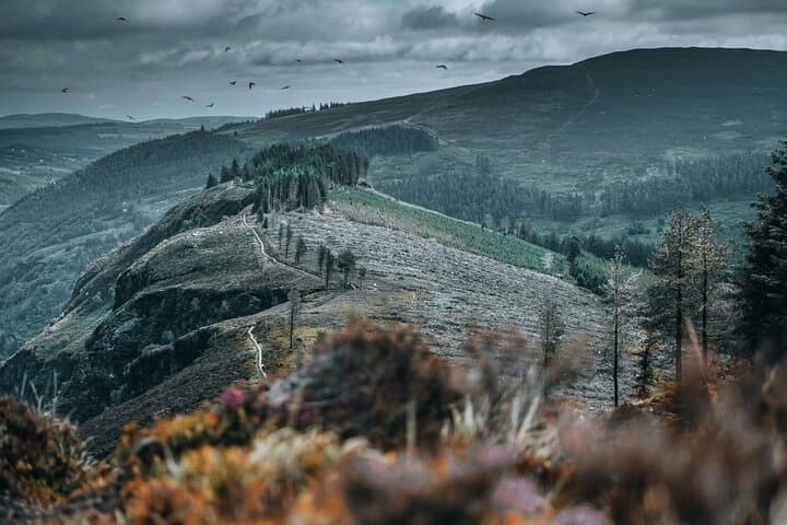 Wicklow Mountains & Glendalough Day Trip from Dublin — Lough Tay Views and Ancient Monastery photo 6