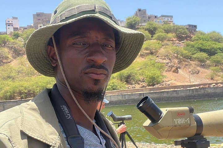 Cape Verde Birdwatching on Santiago: Dams, Wetlands & Desert Species photo 3