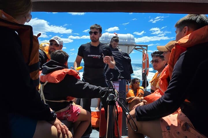 Dolphin-Watching in Golfo Nuevo: Semi-Rigid Boat Tour from Puerto Madryn photo 4