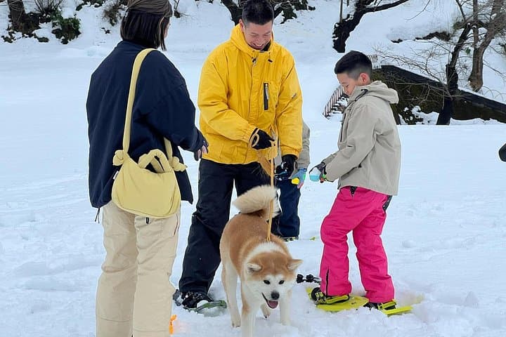 Snowshoeing with an Akita Dog: Yuzawa Winter Park Two-Day Experience photo 4