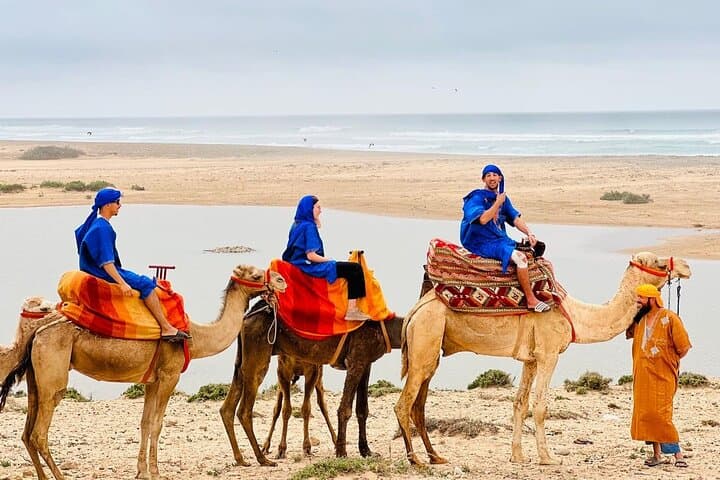 Agadir Camel Ride: 2-Hour Tamri Beach & Souss River Safari
