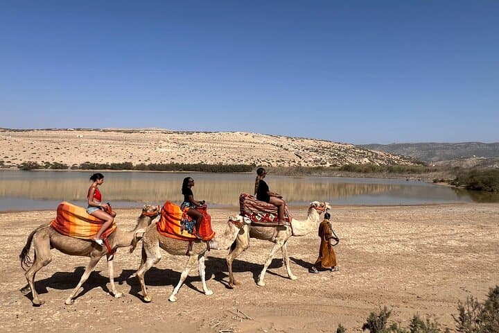 Agadir Camel Ride: 2-Hour Tamri Beach & Souss River Safari photo 6