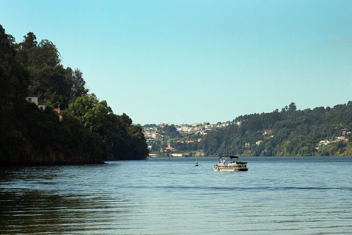 Porto Douro Nature Boat Tour: 2-Hour Scenic Cruise on the Douro River photo 3