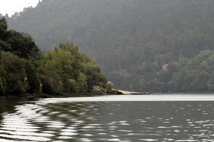 Porto Douro Nature Boat Tour: 2-Hour Scenic Cruise on the Douro River photo 4