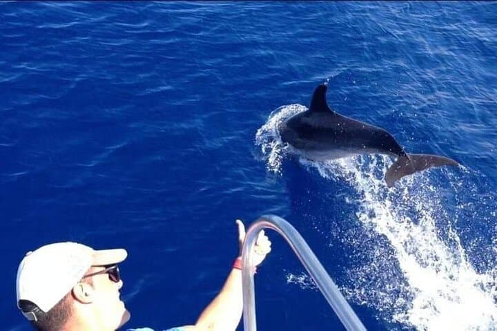 Eco-Yacht Whale & Dolphin Safari from Los Cristianos — Swim Stop Included photo 3