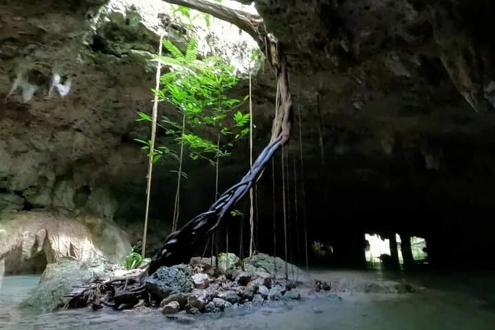 Private Tulum Cenotes Tour: Snorkel Sac Actun & Open Cenote photo 4