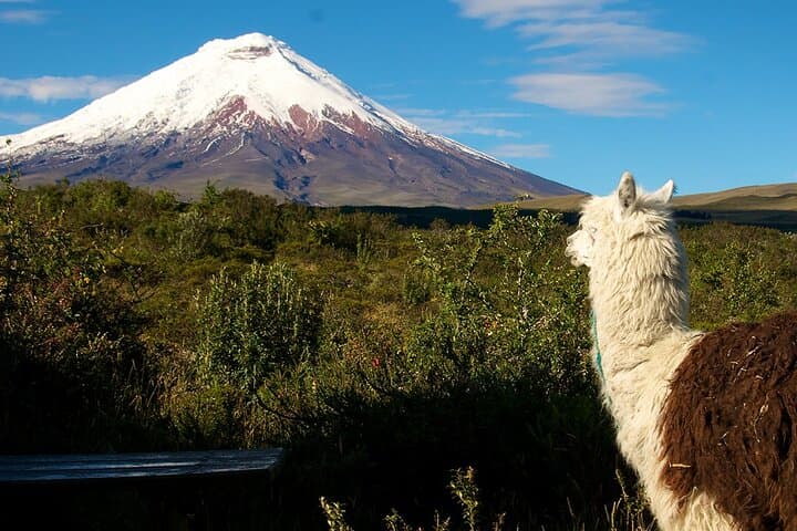 16-Day High-Altitude Ski Tour in Ecuador: Cayambe, Cotopaxi & Chimborazo photo 3
