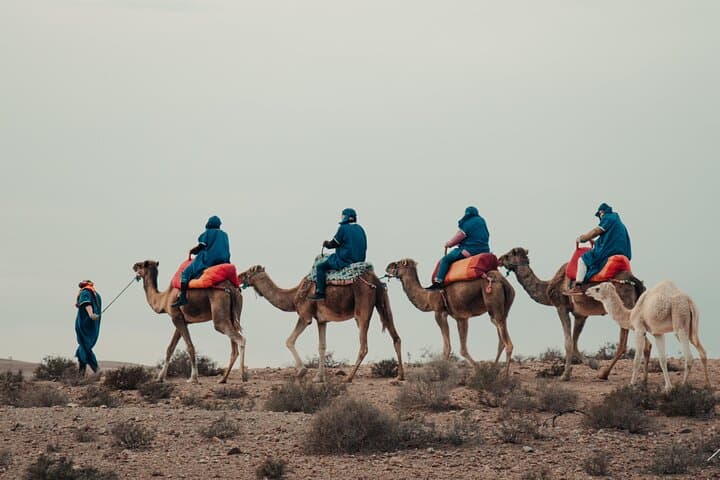 Agafay Desert Camel Ride: Sunset Dinner & Live Show from Marrakech photo 2