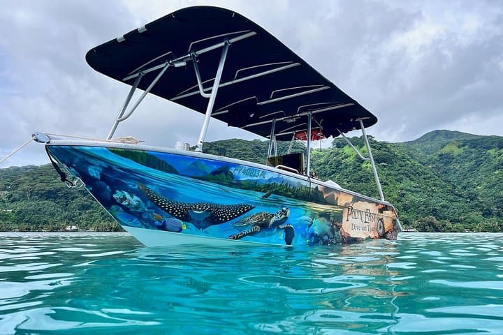 Small-Group Snorkeling Tour in Tahiti: Reef Gardens, Wrecks & Wildlife photo 2