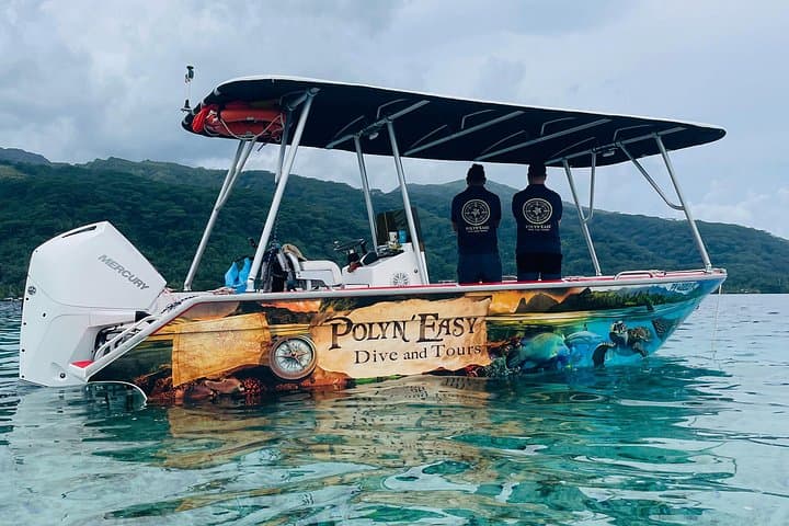 Small-Group Snorkeling Tour in Tahiti: Reef Gardens, Wrecks & Wildlife photo 3