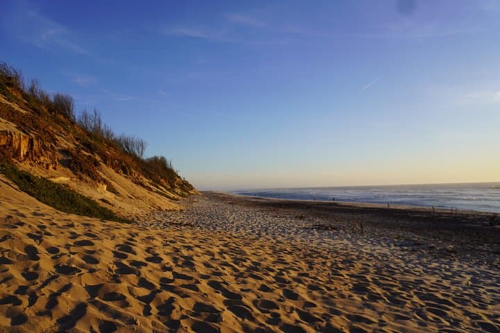 4-Hour Surf Lesson at Maceda Beach — Beginner-Friendly Waves from Porto photo 2