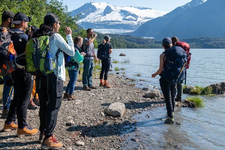 Mendenhall Glacier Guided Hike: Juneau Shore Excursion through the Tongass photo 2