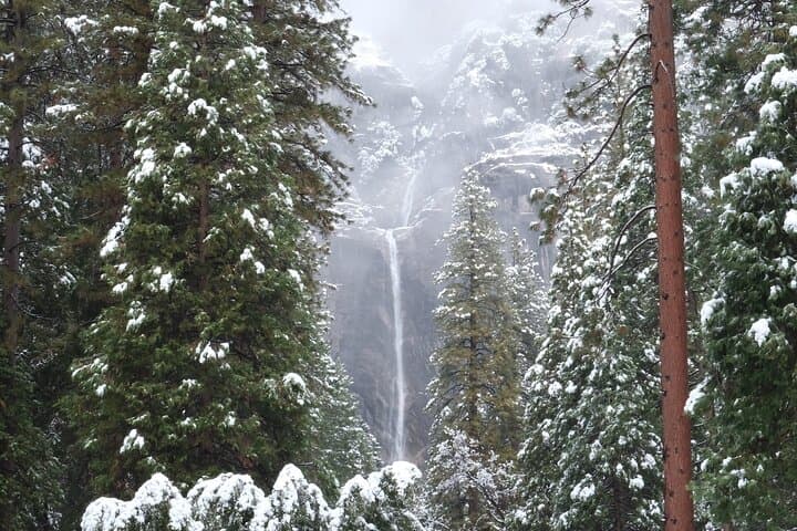 Yosemite Valley Private Winter Hiking Tour — Guided Winter Walks, Waterfalls & Valley Gems photo 6