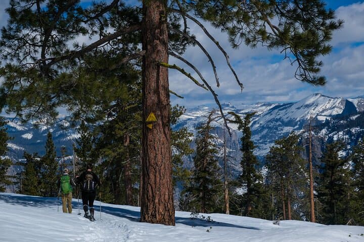 Badger Pass to Dewey Point: Private Yosemite Snowshoeing Adventure photo 2