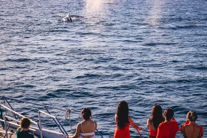 Sunset Whale-Watching Mega-Yacht Cruise on Bahía de Banderas photo 3