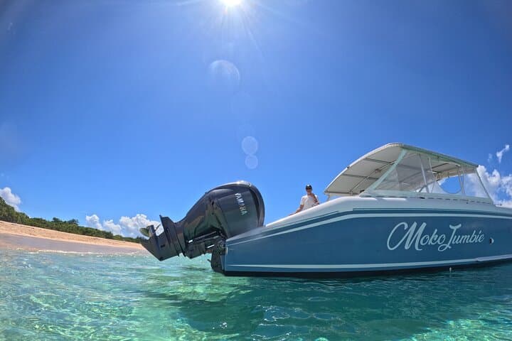 Private Power Catamaran Charter in Saint Kitts and Nevis: Snorkel, Beach & Coastal Cruise photo 2