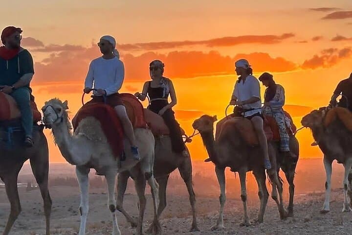 Agafay Desert Sunset Camel Ride and Berber Dinner from Marrakech photo 3