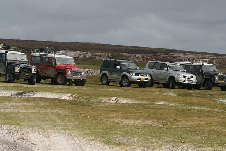 Volunteer Point King Penguin Safari: 4x4 to Falklands' Largest Colony photo 2